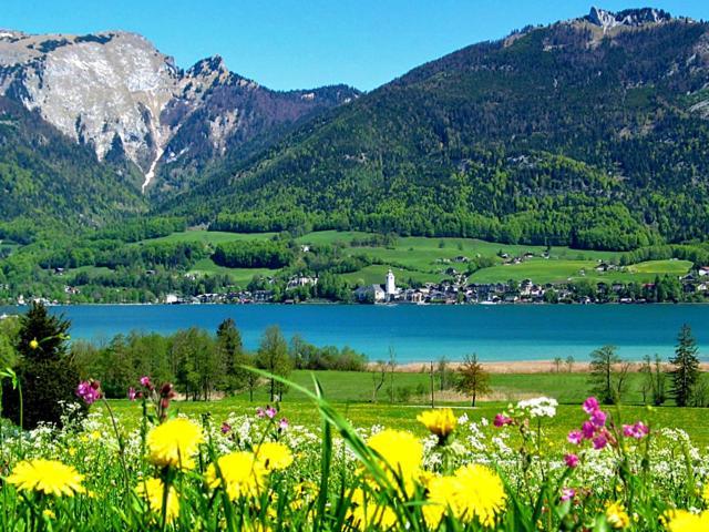 Отель Haus Zimmermann Sankt Wolfgang im Salzkammergut Экстерьер фото