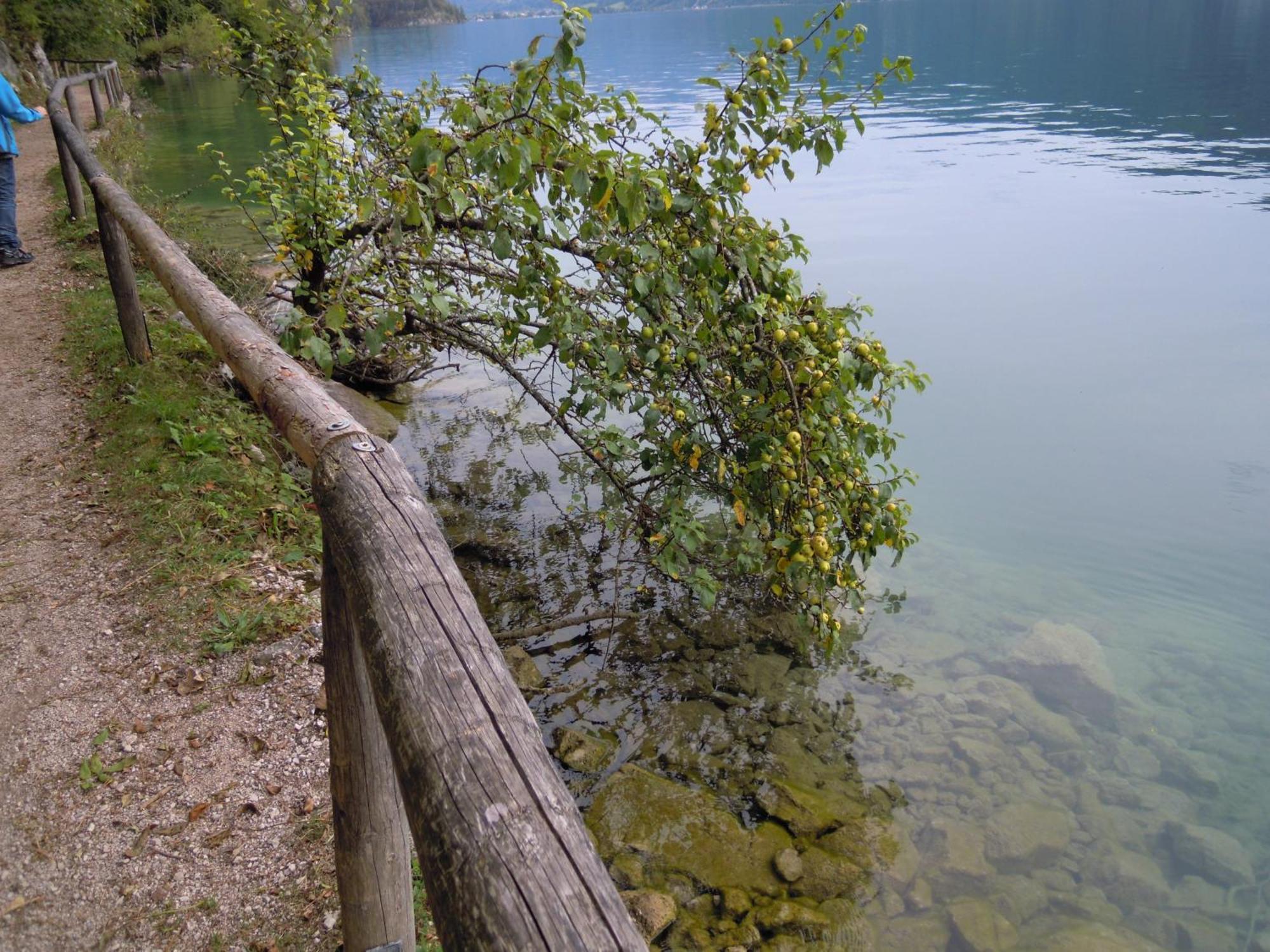 Отель Haus Zimmermann Sankt Wolfgang im Salzkammergut Экстерьер фото